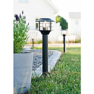 Garden 24 LED-Wegeleuchte (Schwarz, Höhe: 45,5 cm, Warmweiß)