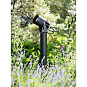 Garden 24 LED-Gartenstrahler (6 W, Mit Erdspieß, IP44, LED) | BAUHAUS