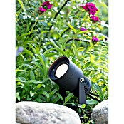 Garden 24 LED-Spotstrahler (3 W, Mit Erdspieß, L x B x H: 9 x 9 x 30 cm, Schwarz) | BAUHAUS