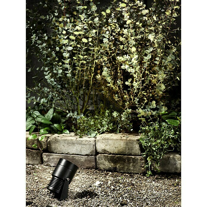 Garden 24 LED-Spotstrahler (6 W, Erdspieß, L x B x H: 9 x 9 x 30 cm, Schwarz) | BAUHAUS