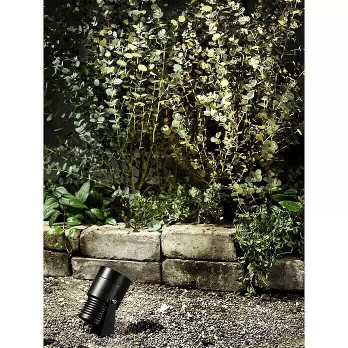 Garden 24 LED-Spotstrahler - 3 W, Mit Erdspieß, L x B x H: 9 x 9 x 30 cm, Schwarz - Schwarzer Außenstrahler beleuchtet Pflanzen in einem Garten.