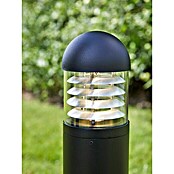 Garden 24 LED-Wegeleuchte Sphere (Schwarz, Höhe: 60 cm, Warmweiß) | BAUHAUS