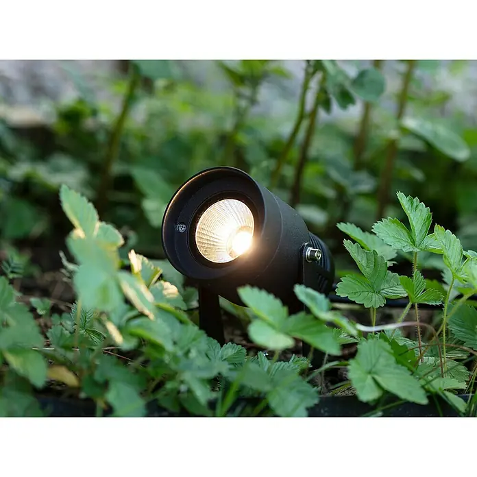 Garden 24 LED-Spotstrahler - 6 W, Erdspieß, L x B x H: 9 x 9 x 30 cm, Schwarz - Nahaufnahme eines Gartenstrahlers in einer grünen Gartenumgebung, der einen hellen Lichtstrahl ausstrahlt und eine gemütliche Atmosphäre schafft.