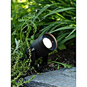 Garden 24 LED-Spotstrahler (15 W, Erdspieß, L x B x H: 9 x 9 x 13,5 cm, Schwarz) | BAUHAUS