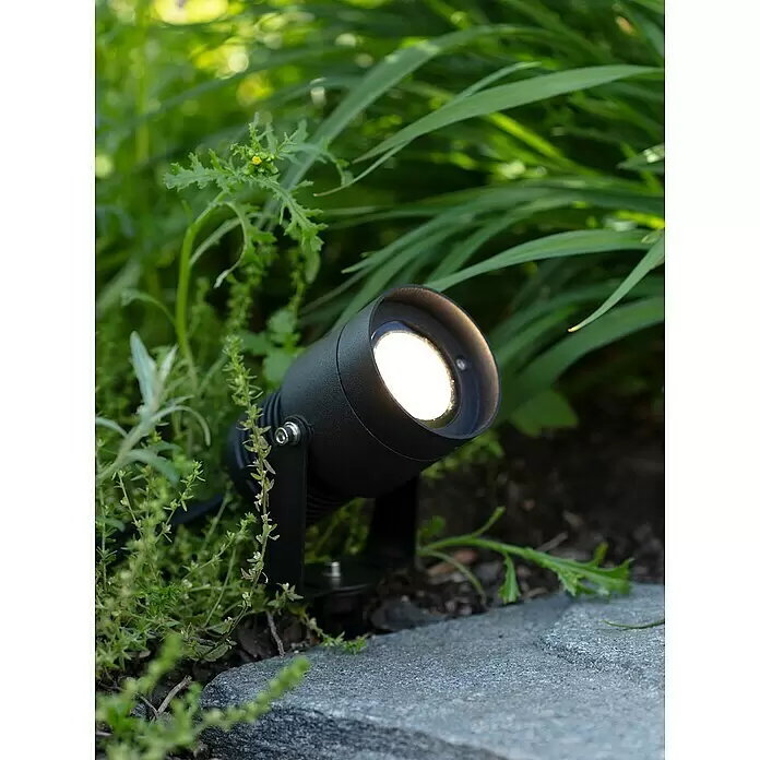 Garden 24 LED-Spotstrahler - 15 W, Erdspieß, L x B x H: 9 x 9 x 13,5 cm, Schwarz - Schwarzer Landschaftsstrahler beleuchtet einen Gartenweg.