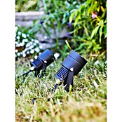 Garden 24 LED-Spotstrahler (15 W, Erdspieß, L x B x H: 9 x 9 x 13,5 cm, Schwarz) | BAUHAUS