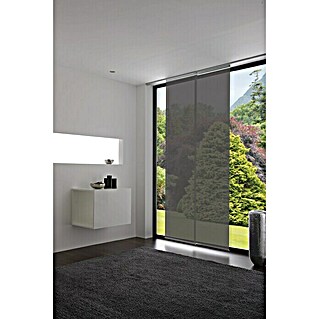 Expo Ambiente Flächenvorhang Pure (Grau, 100 % Polyester, B x H: 60 x 245 cm, Aufhängung: Klettband)