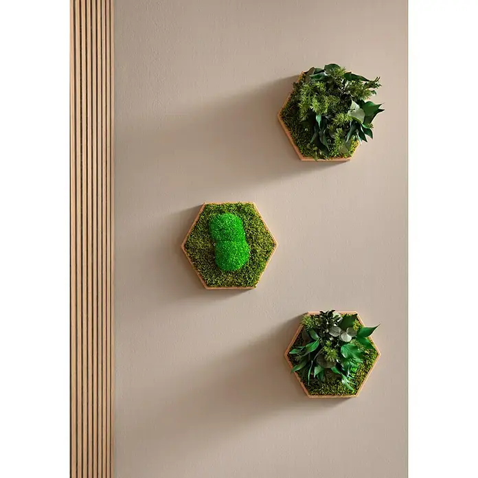 swingcolor Farbtester SIMPLY Wohnraumfarbe - Greige - Nr. 05, Matt, 50 ml - Drei sechseckige Wanddekorationen mit verschiedenen Grünpflanzen und Moos in einem modernen Interieur, die ein natürliches Flair verleihen.