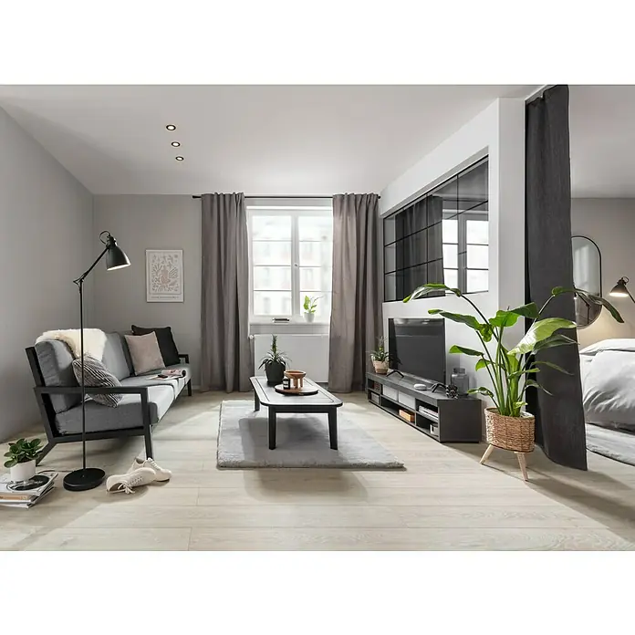 Piardino Baumstrelitzie - Strelitzia nicolai, Topfgröße: 21 cm - Wohnzimmer mit grauem Sofa, Couchtisch und großem Fenster. Der Raum wirkt gemütlich und einladend mit sanfter Beleuchtung.
