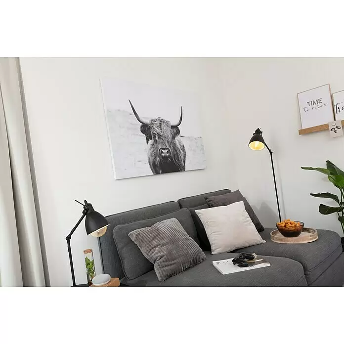 ProArt Leinwandbild - Scot Highland, B x H: 120 x 90 cm - Stimmungsaufnahme