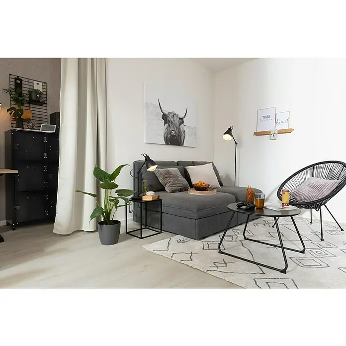 ProArt Leinwandbild - Scot Highland, B x H: 120 x 90 cm - Wohnzimmer-Interieur mit grauem Sofa, schwarzem Couchtisch und Sessel auf einem gemusterten Teppich, dekoriert mit Pflanzen und Wandkunst.