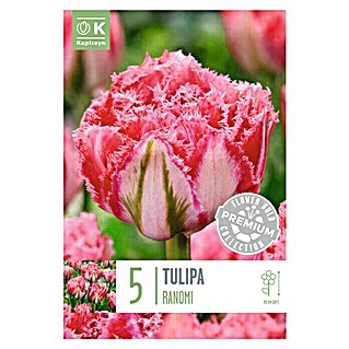 Kapiteyn Bulbos de otoño (Tulipan premium 'ranomi', Rosa, 5 ud.)