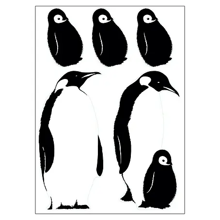Vinilo de pared Pingüinos