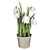 Umetna rastlina Močvirski tulipan  (Zunanje dimenzije (Ø x V): 12 x 23 cm, Plastika) | 8450 - Übertoepfe Keramik | IAKA - Gefäße Indoor | IAK - Gefässe,Deko outdoor, Zeitschriften | IA - Gartenhartware | I - Stadtgarten | BAUHAUS
