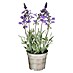 Umetna rastlina Lavanda 