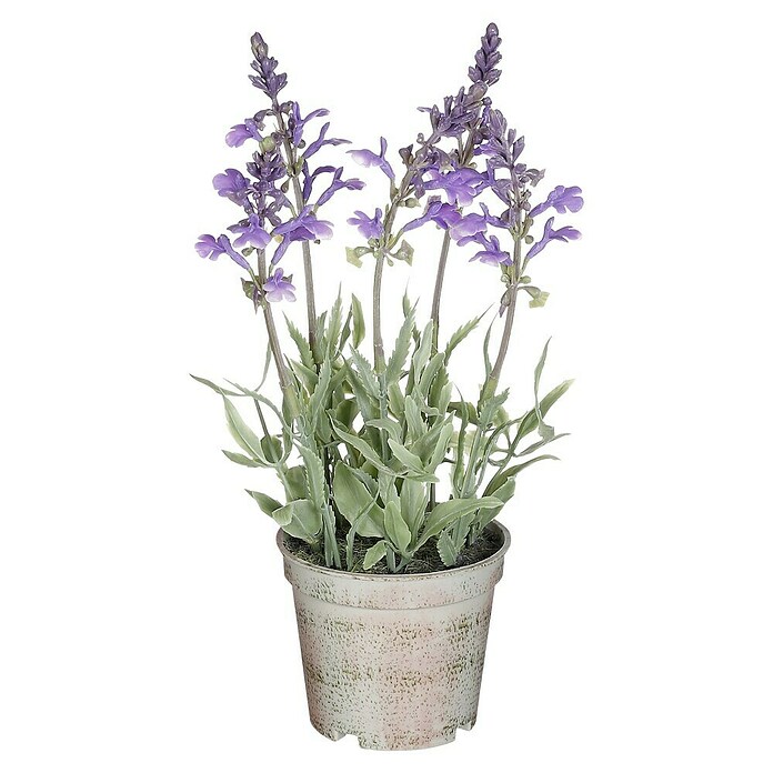 Umetna rastlina Lavanda  (Zunanje dimenzije (Ø x V): 10 x 25 cm, Plastika) | 8450 - Übertoepfe Keramik | IAKA - Gefäße Indoor | IAK - Gefässe,Deko outdoor, Zeitschriften | IA - Gartenhartware | I - Stadtgarten | BAUHAUS