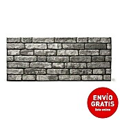 Revestimiento decorativo Loft (2 ud., 120 x 50 cm, Antracita) | BAUHAUS