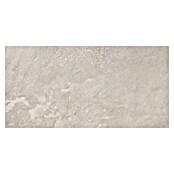 Domicil Wandfliese Stone Art (30 x 60 cm, Beige, Glänzend) | BAUHAUS