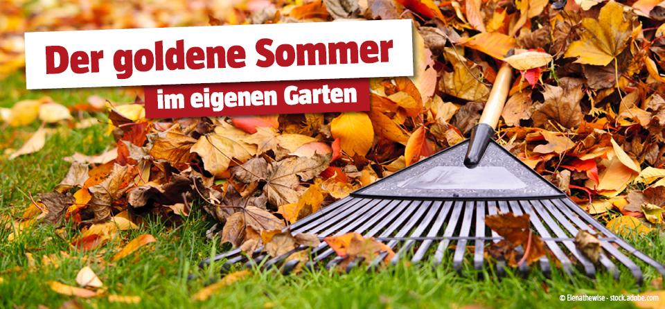 Herbstgarten