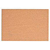 Glorex Korkplatte (L x B x H: 300 x 200 x 3 mm) | BAUHAUS