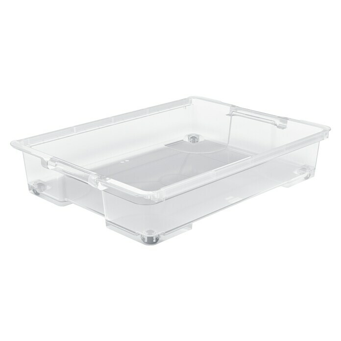 Rotho Clear Unterbettbox (L x B x H: 78,7 x 58,6 x 15,9 cm, 50 l, Mit Rollen) | BAUHAUS