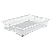 Rotho Clear Unterbettbox (L x B x H: 78,7 x 58,6 x 15,9 cm, 50 l, Mit Rollen) | BAUHAUS