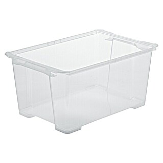 Rotho Clear Box (L x B x H: 58,3 x 39,2 x 27,7 cm, Transparent, Fassungsvermögen: 44 l)