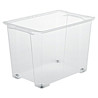 Rotho Clear Box (L x B x H: 58,3 x 39,2 x 41 cm, Transparent, Fassungsvermögen: 65 l)