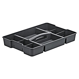 Rotho Clear Box Einsatz (Passend für: Rotho Clear Box 30, 44 & 65 l)