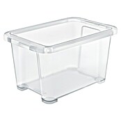 Rotho Clear Box (L x B x H: 17,8 x 11,7 x 9,8 cm, Transparent, Fassungsvermögen: 1,2 l) | BAUHAUS