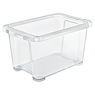 Rotho Clear Box (L x B x H: 17,8 x 11,7 x 9,8 cm, Transparent, Fassungsvermögen: 1,2 l)