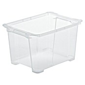 Rotho Clear Box (L x B x H: 38,7 x 27,9 x 22,8 cm, Transparent, Fassungsvermögen: 15 l) | BAUHAUS