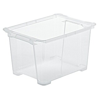 Rotho Clear Box (L x B x H: 38,7 x 27,9 x 22,8 cm, Transparent, Fassungsvermögen: 15 l)