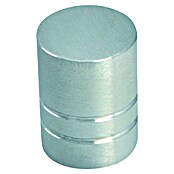Nesu Pomo para muebles 8316 (Ø x Al: 15 x 20 mm, Acero inoxidable)