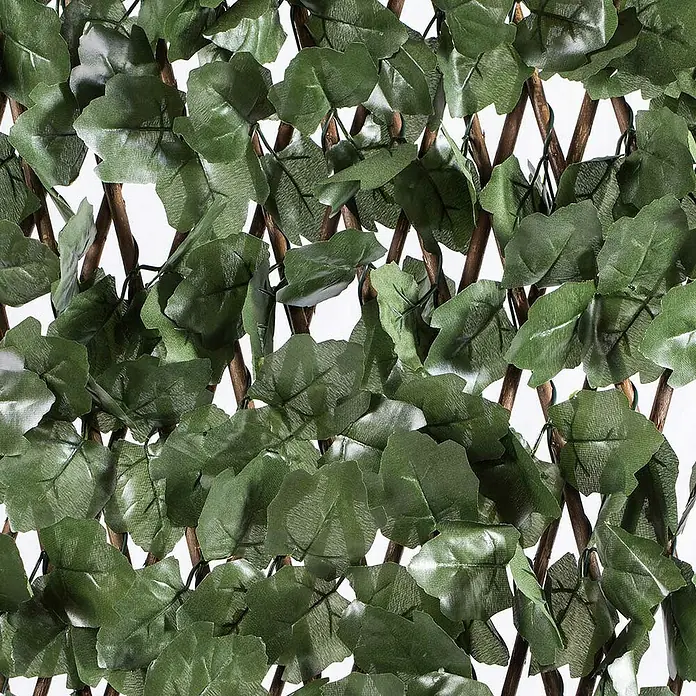 Celosía extensible con hojas - 2 x 1 m, Plástico, Marrón/Verde - Primer plano de una pantalla de privacidad extensible con hiedra artificial, ideal para jardines y balcones. Crea privacidad y verdor.