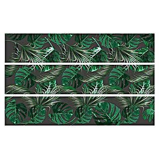 Adhesivos decorativos Escaleras Amazonia (19 x 100 cm)