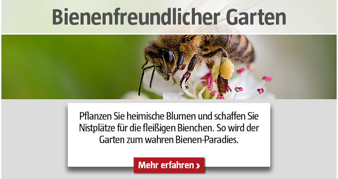 Bienenfreundlicher Garten