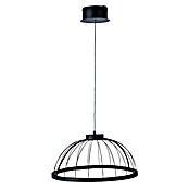 Forlight Lámpara colgante LED redonda Cercle (24 W, Ø x Al: 39,5 x 120 cm, Blanco opal, Negro, Blanco neutro) | BAUHAUS