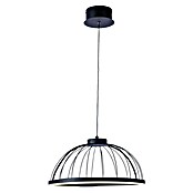 Forlight Lámpara colgante LED redonda Cercle (24 W, Ø x Al: 39,5 x 120 cm, Blanco opal, Negro, Blanco neutro) | BAUHAUS
