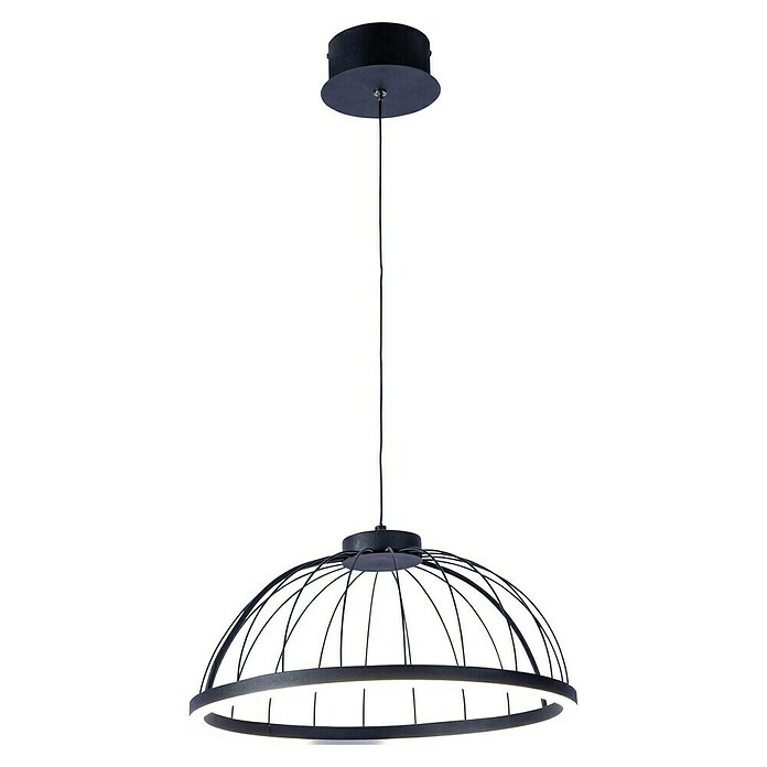 Forlight Lámpara colgante LED redonda Cercle (24 W, Ø x Al: 39,5 x 120 cm, Blanco opal, Negro, Blanco neutro) | BAUHAUS