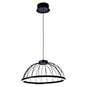 Forlight Lámpara colgante LED redonda Cercle (24 W, Ø x Al: 39,5 x 120 cm, Blanco opal, Negro, Blanco neutro) | BAUHAUS