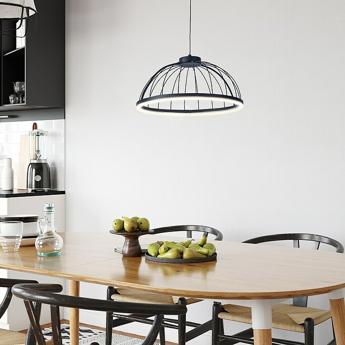 Forlight Lámpara colgante LED redonda Cercle (24 W, Ø x Al: 39,5 x 120 cm, Blanco opal, Negro, Blanco neutro) | BAUHAUS