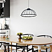 Forlight Lámpara colgante LED redonda Cercle (24 W, Ø x Al: 39,5 x 120 cm, Blanco opal, Negro, Blanco neutro) | BAUHAUS