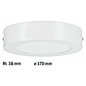 Paulmann LED-Deckenleuchte rund Lunar (12,5 W, Weiß, Ø x H: 17 x 3,8 cm)