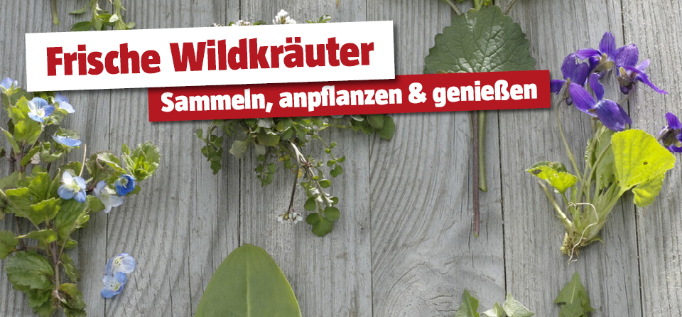 Wildkräuter