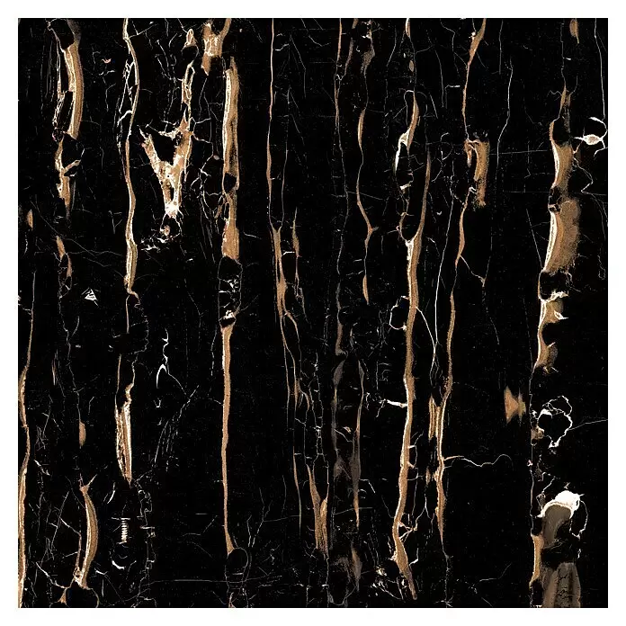 Feinsteinzeugfliese Vegas - 60 x 60 cm, Schwarz, Glänzend - Draufsicht