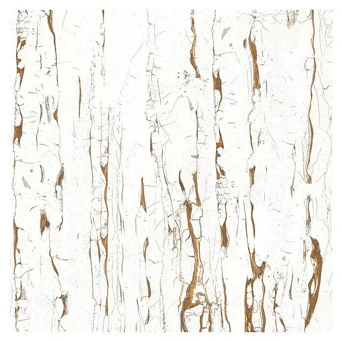 Feinsteinzeugfliese Vegas - 60 x 60 cm, Weiß, Glänzend - Draufsicht