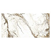 Granitogresne ploščice Marble Visage  (60 x 120 cm, Bela/Siva/Zlata, Sijaj) | 4240 - Natursteinoptik | EAFA - Bodenfliesen | EAF - Fliesen | EA - Fliesen | E - Fliesen | BAUHAUS