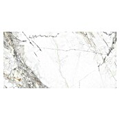 Feinsteinzeugfliese Marble Visage (30 x 60 cm, Weiß/Grau, Glänzend) | BAUHAUS