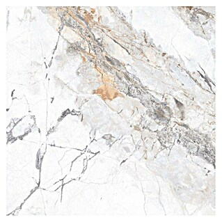 Feinsteinzeugfliese Marble Visage (60 x 60 cm, Weiß/Grau/Gold, Glänzend)